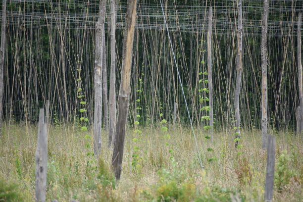 La Houf porte les valeurs de Nature & Progrès