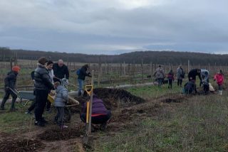 Plantations agroforestières « Ensemble pour le climat »